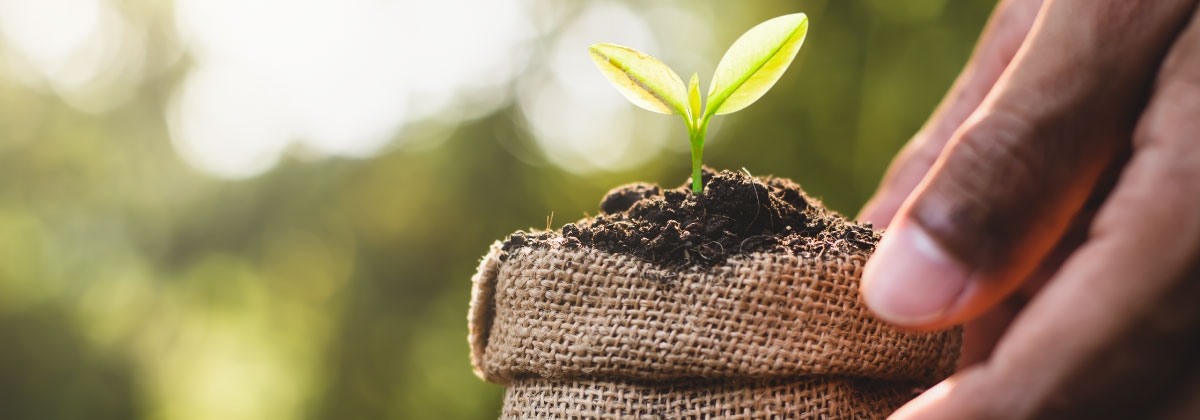 Bioinsumos en Colombia