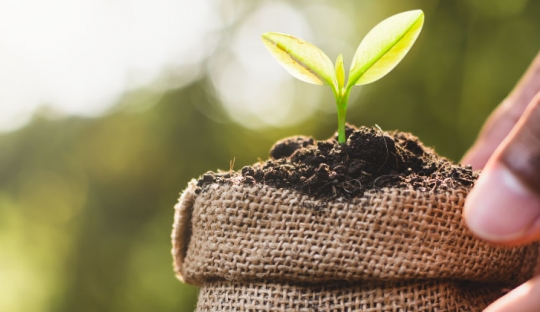 Bioinsumos en Colombia